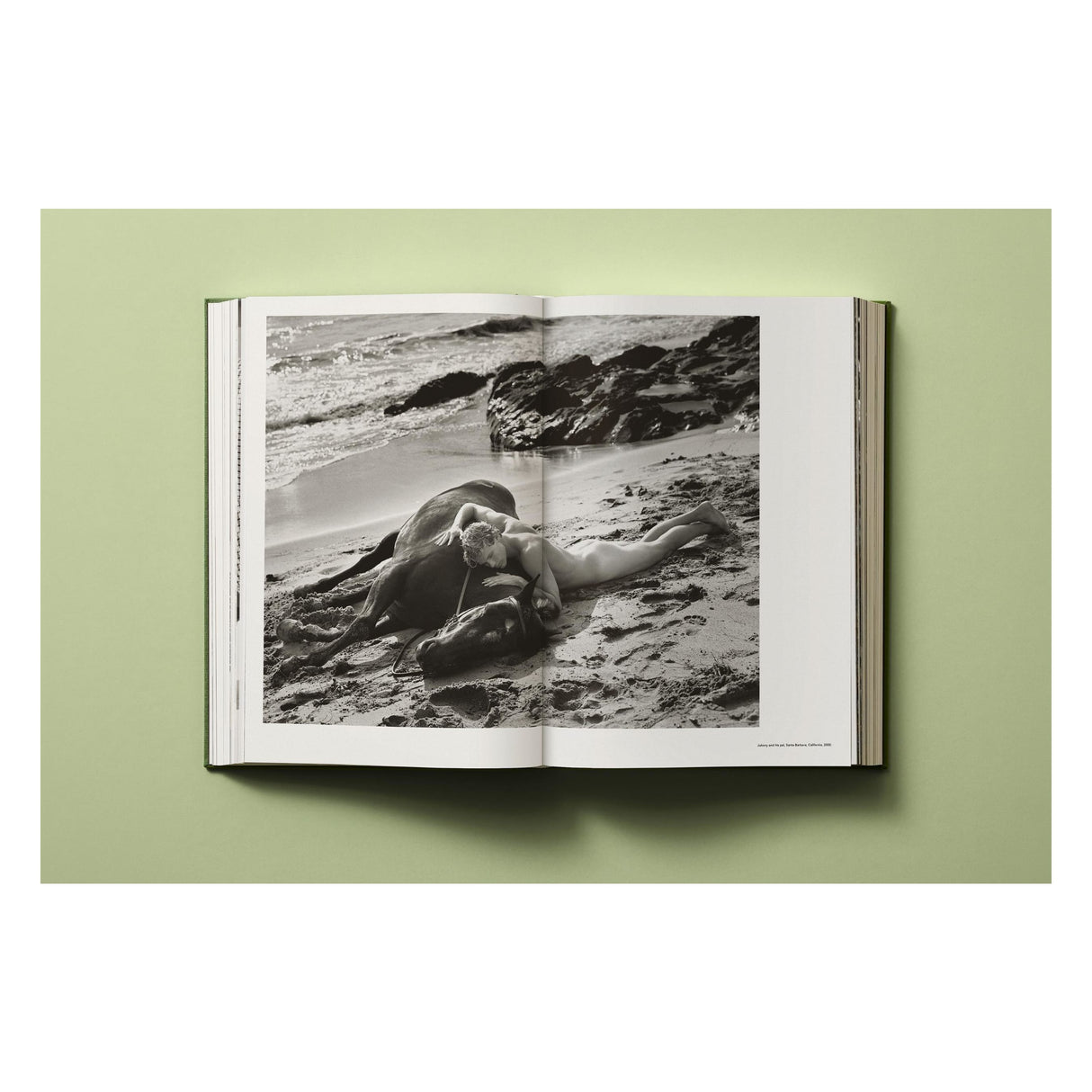 Bruce Weber. My Education (German, French, English)