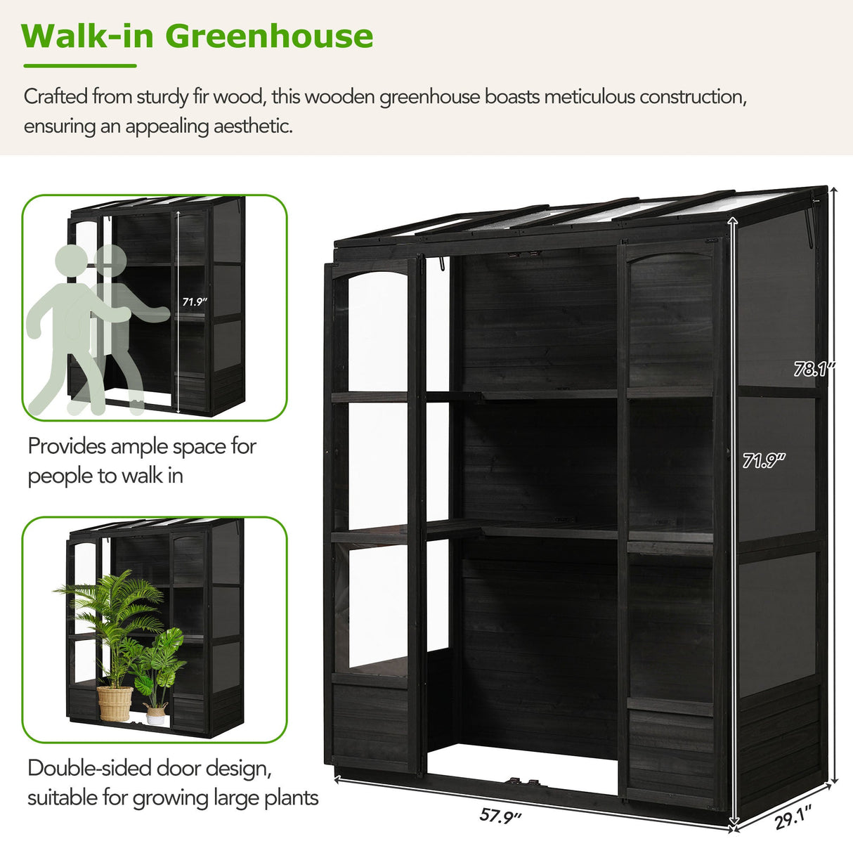 TOPMAX 78-inch Wooden Walk-in Greenhouse with Skylights and Folding Shelves