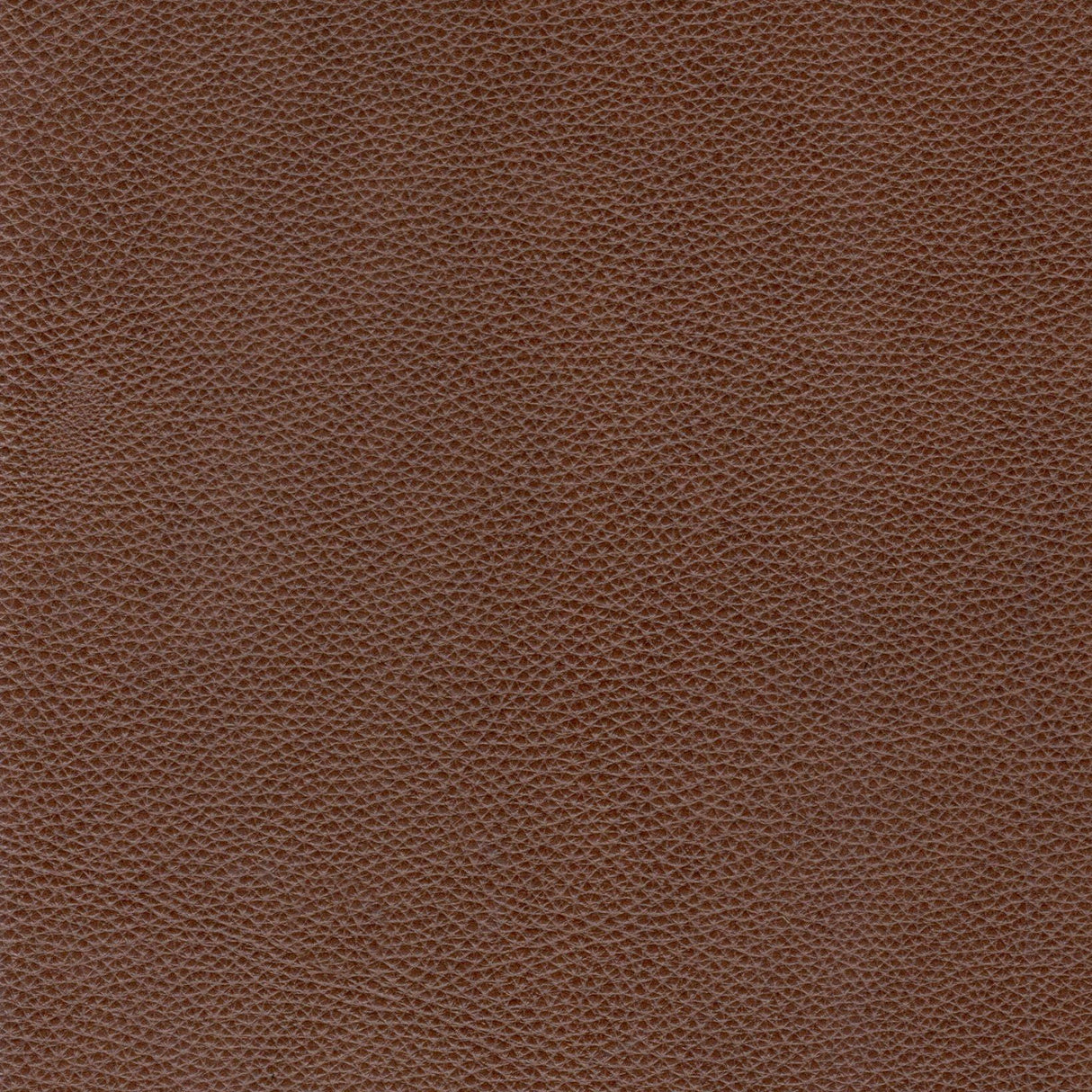Traditional Tufted Chesterfield Nailhead Sofa