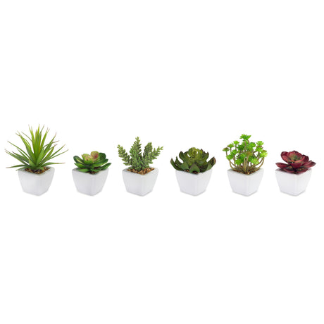 Assorted-succulent-in-traditional-white-pot-(set-of-6)-Artificial-Non-Flowering-Plants