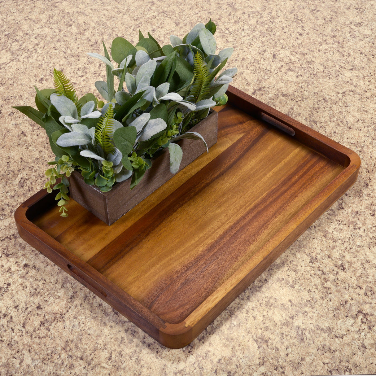 Large-Rectangular-Serving-Tray-Solid-Bottom-Serving-Tray