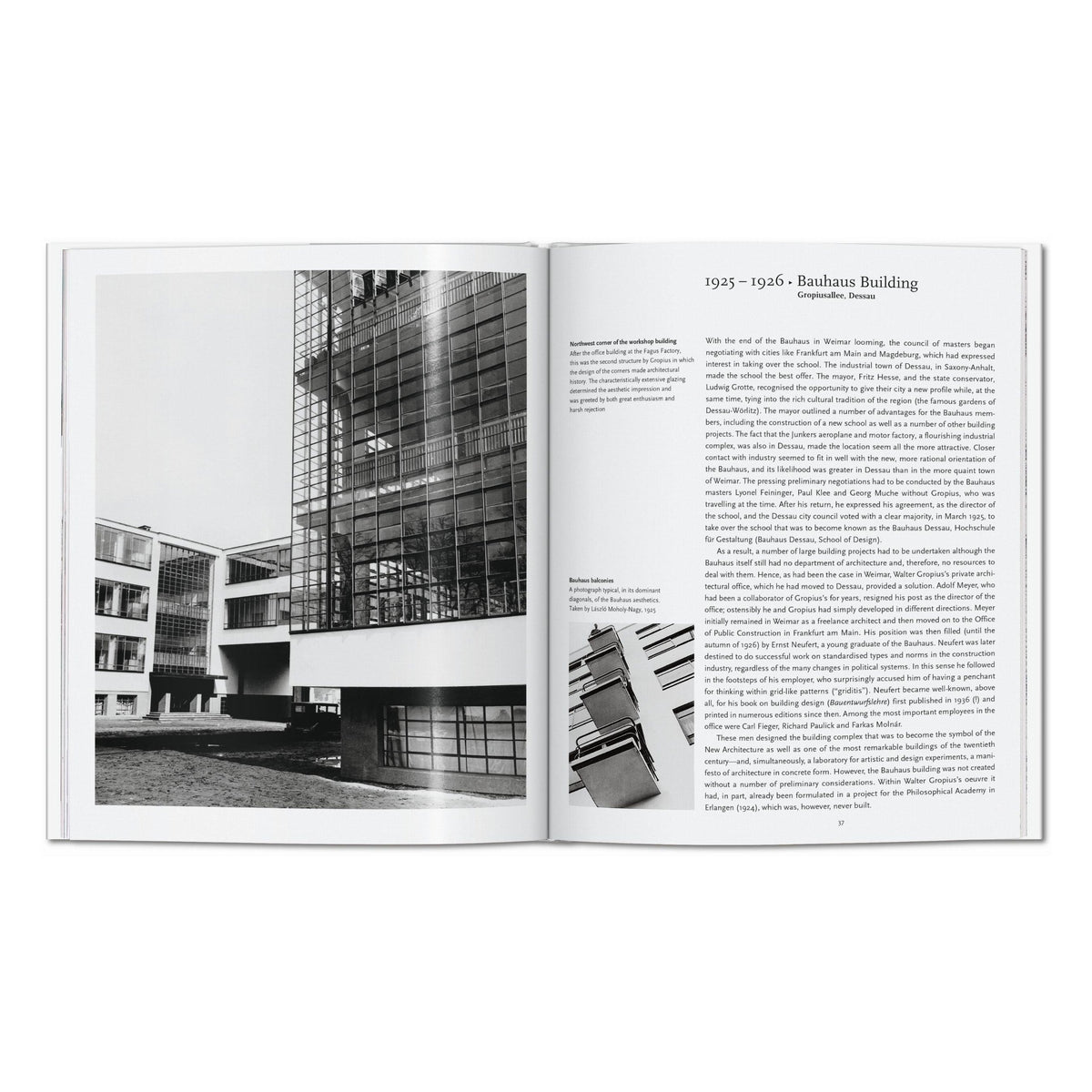 Gropius (English)