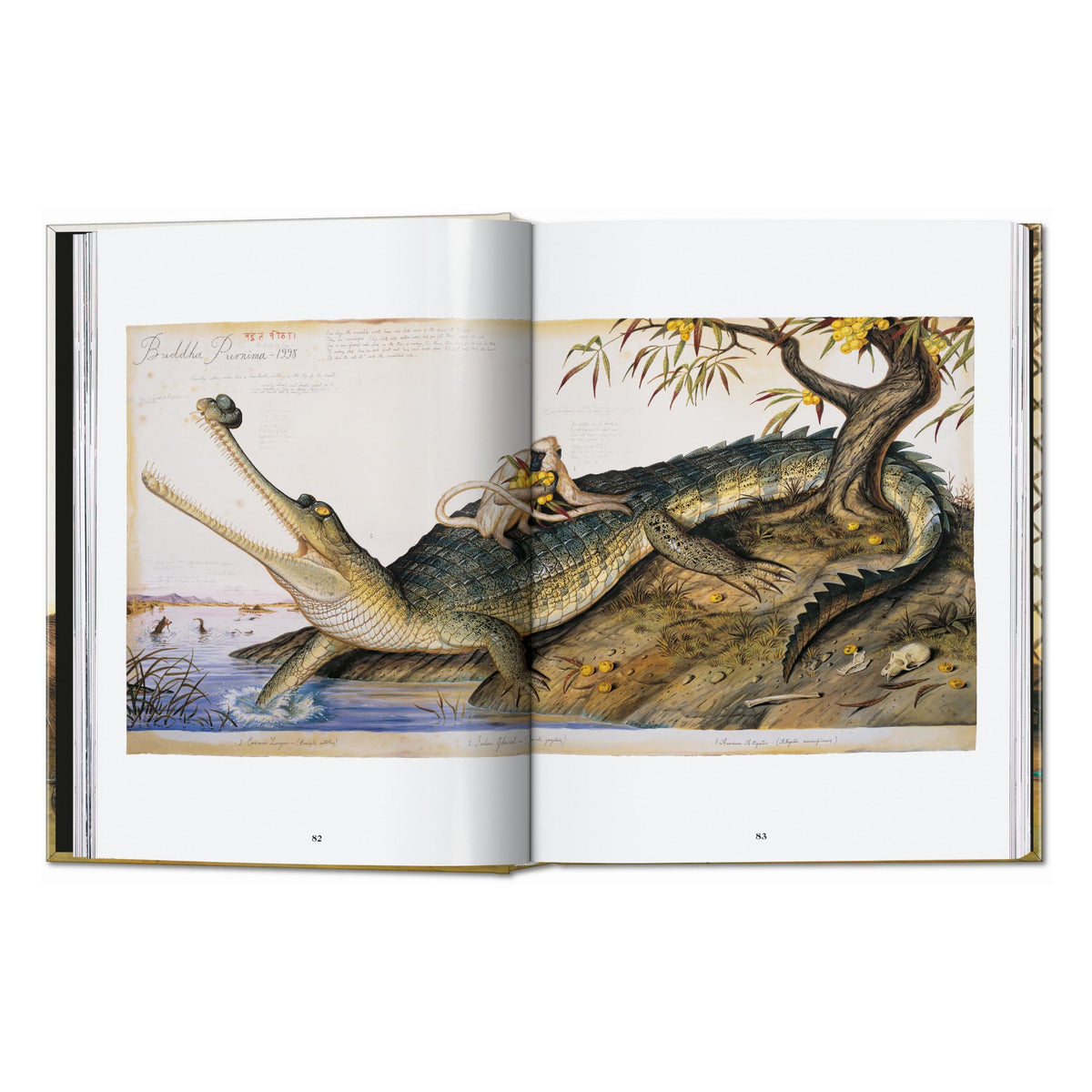Walton Ford. 40th Ed. (German, French, English)