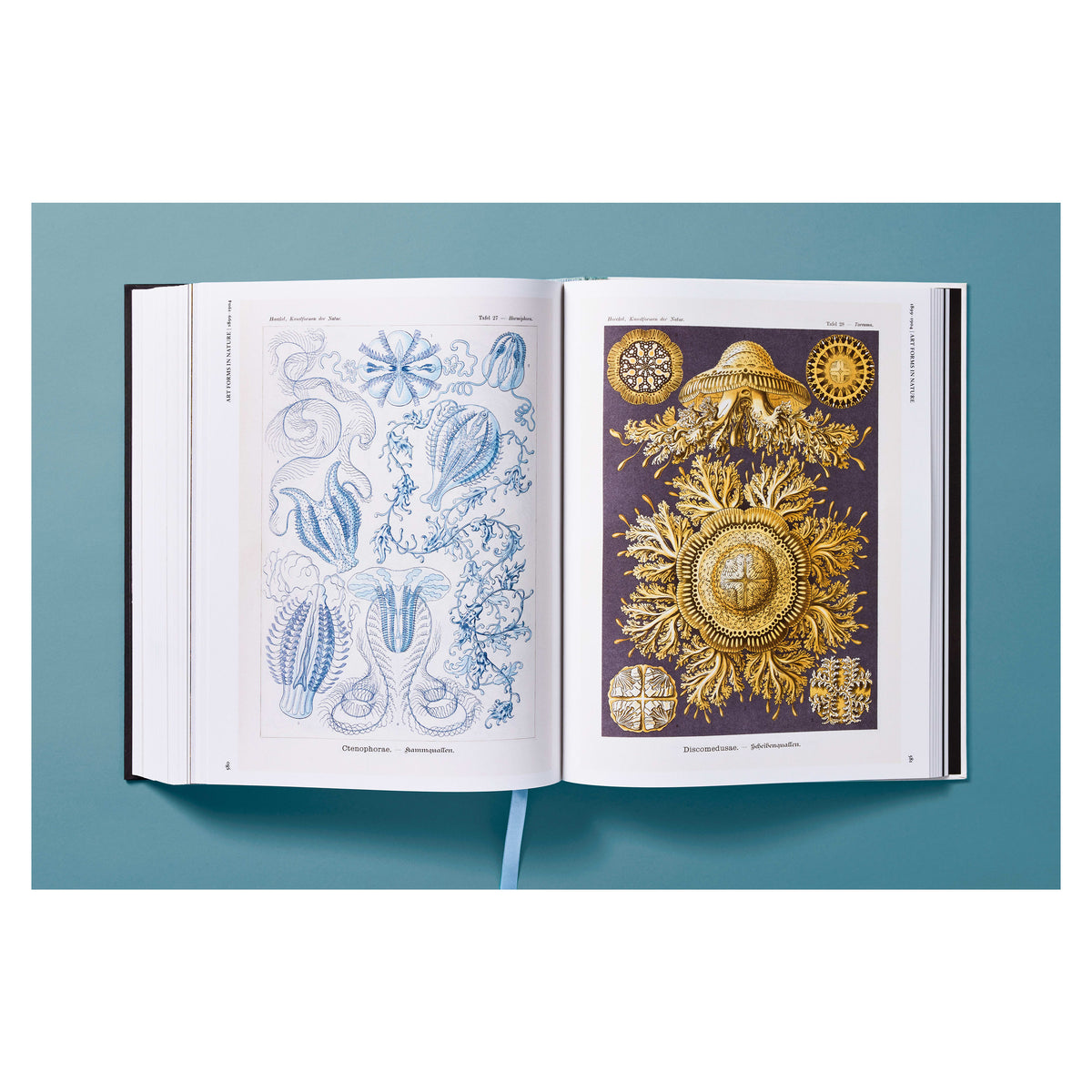 The Art and Science of Ernst Haeckel (German, French, English)