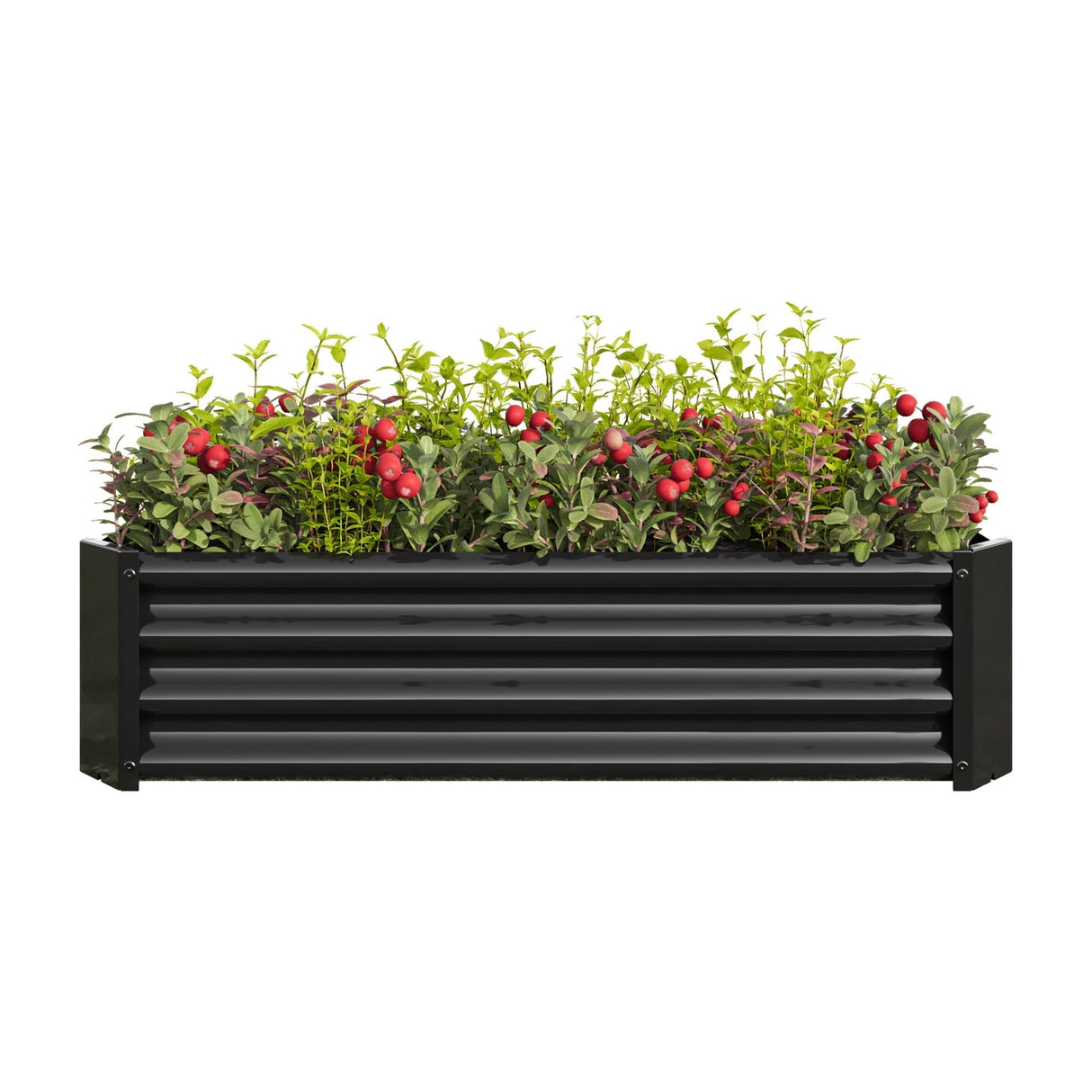Metal Raised Garden Bed, 4×2×1ft Rectangle Planter