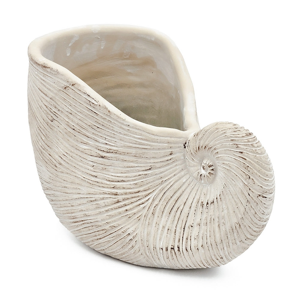 11.5x6.7x7.7 Sand and Cement Nautilus Shell Planter with Textured Beige Finish