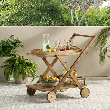 Riviera-bar-cart-by-christopher-knight-home-Outdoor-Carts-&-Islands