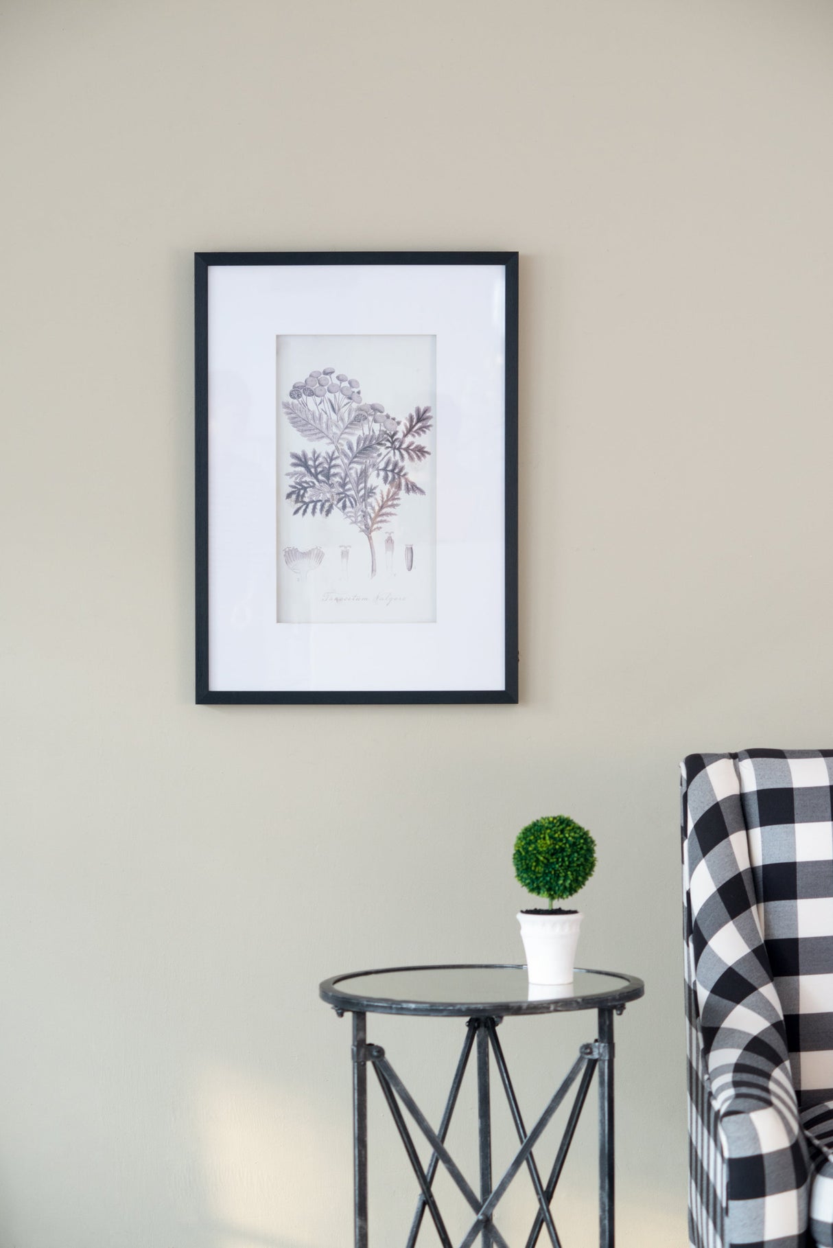 Verdura Botanica: Four-Print Houseplant Pencil Art Set