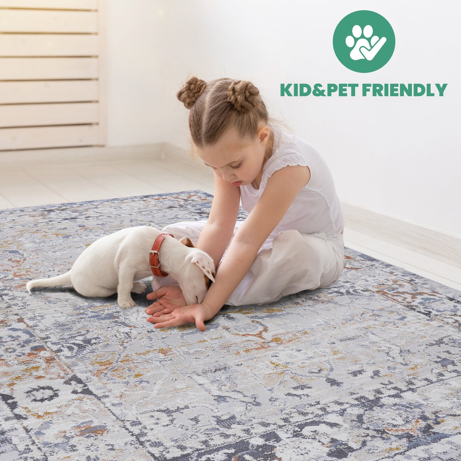 NAAR PAYAS Traditional Non-Shedding and Stain Resistant Area Rug