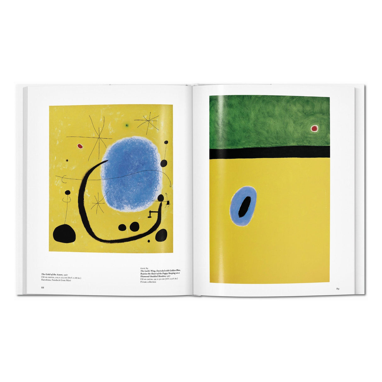 Miró (English)