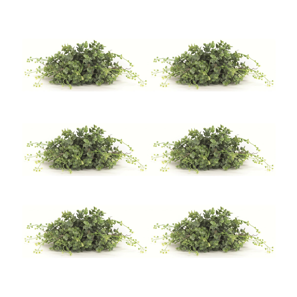 Spring-Boxwood-Foliage-Half-Orb-(Set-of-6)-Artificial-Flowering-Plants