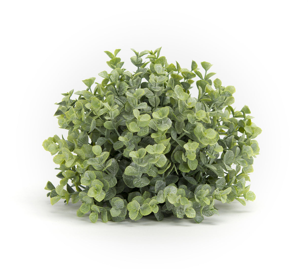Spring Boxwood Foliage Half Orb (Set of 6)