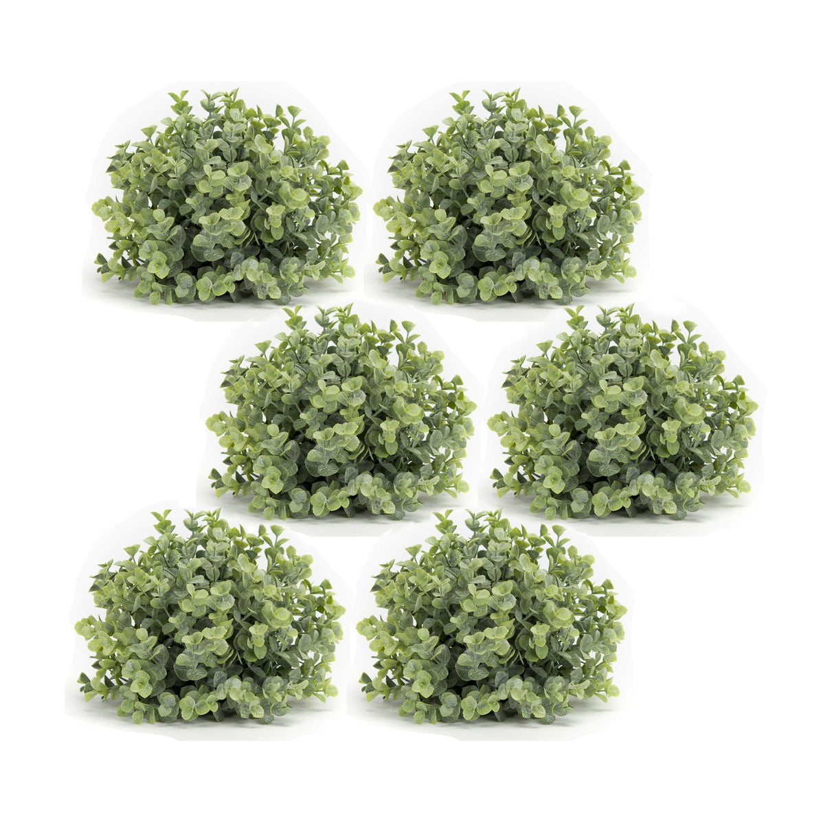 Spring-Boxwood-Foliage-Half-Orb-(Set-of-6)-Artificial-Flowering-Plants