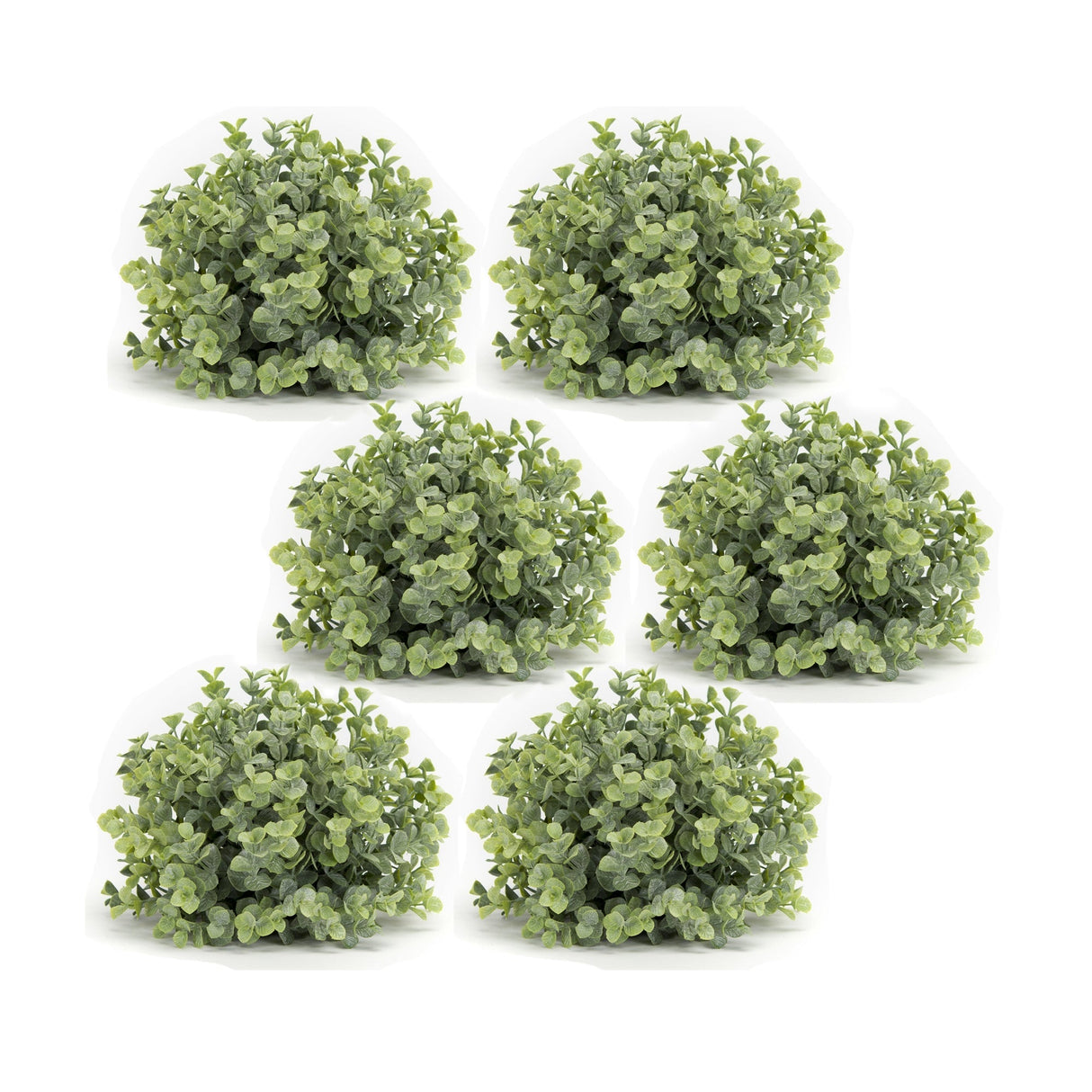 Spring-Boxwood-Foliage-Half-Orb-(Set-of-6)-Artificial-Flowering-Plants