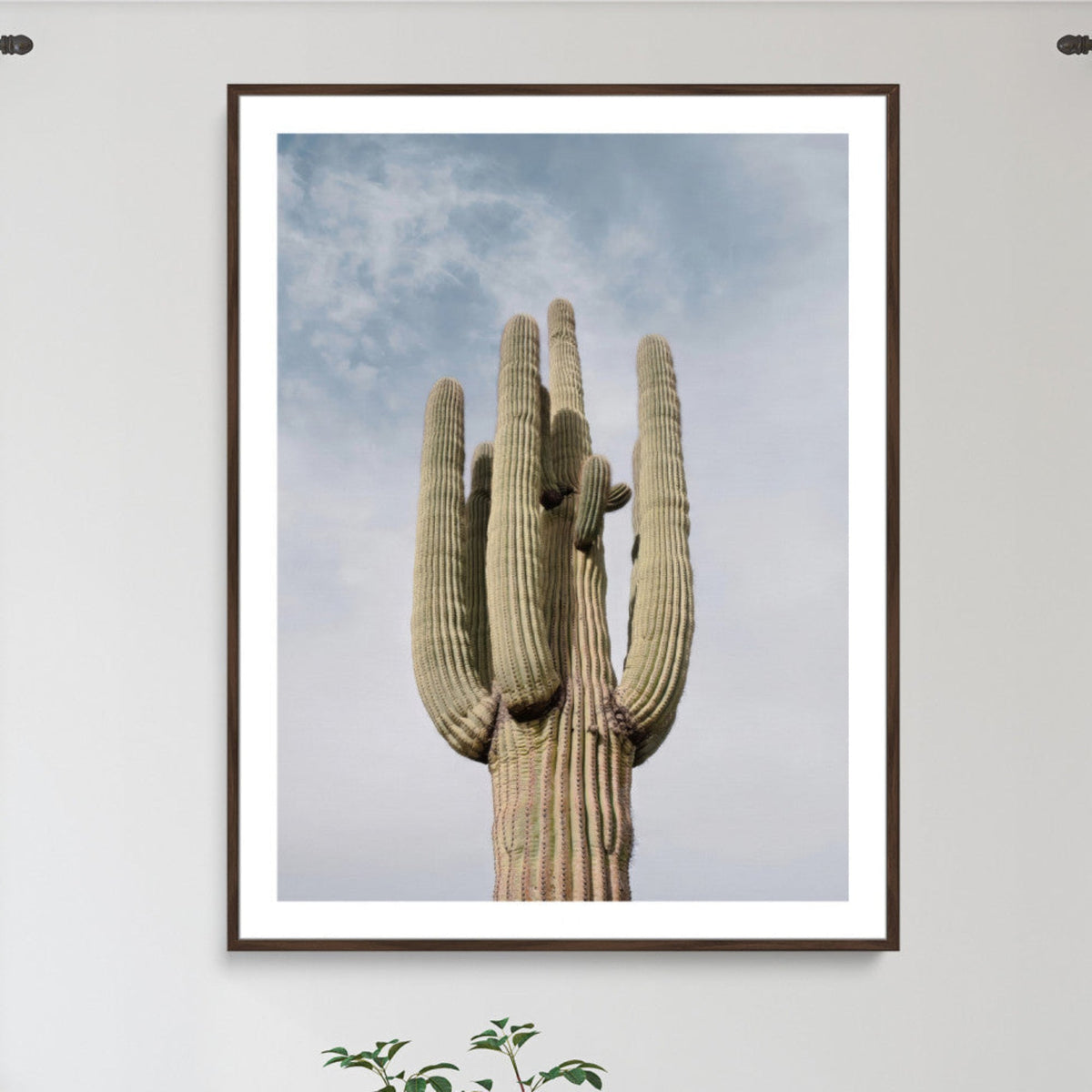 Saguaro Cactus Wall Art Canvas Print – Framed Earthy Desert