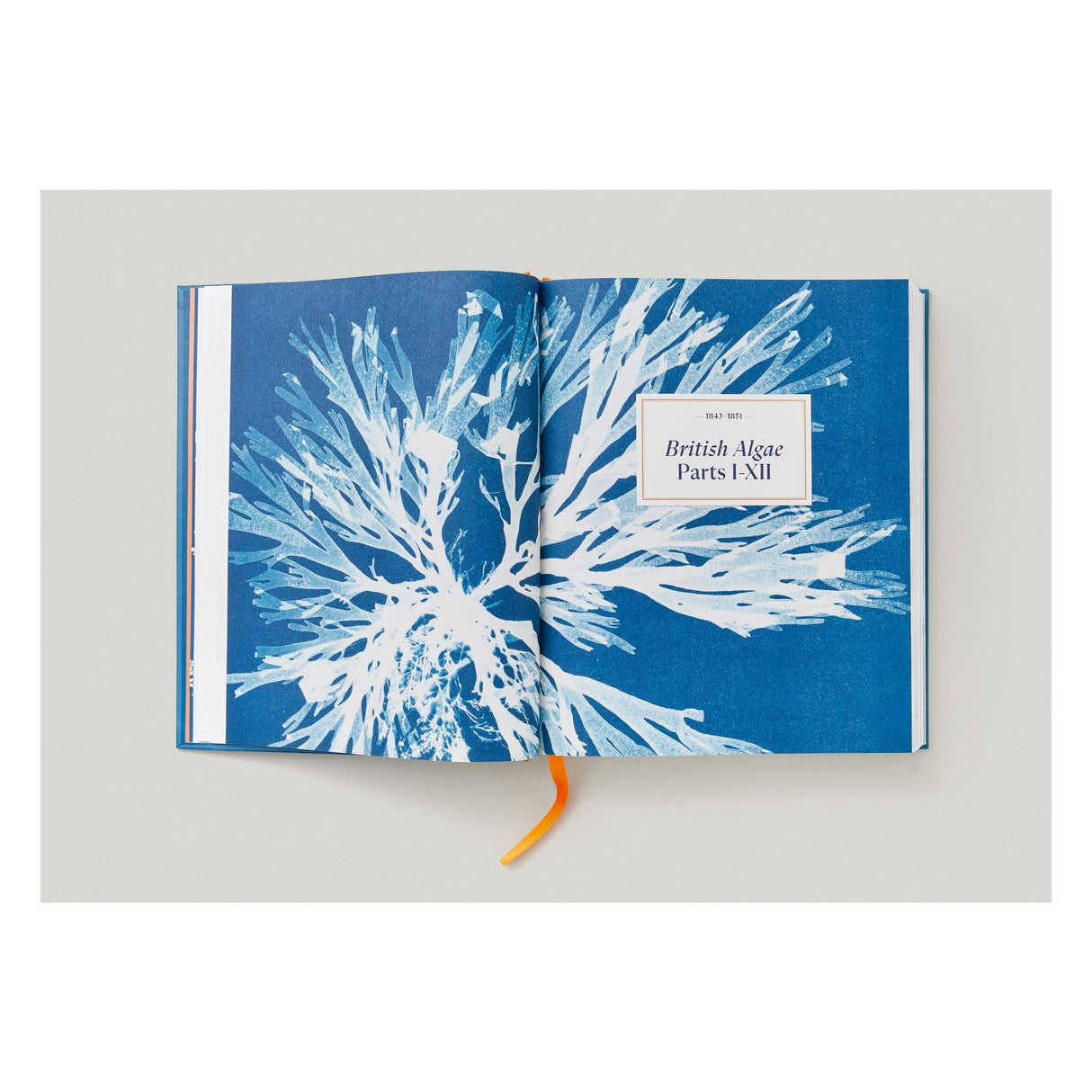 Anna Atkins. Cyanotypes (German, French, English) (FFE)