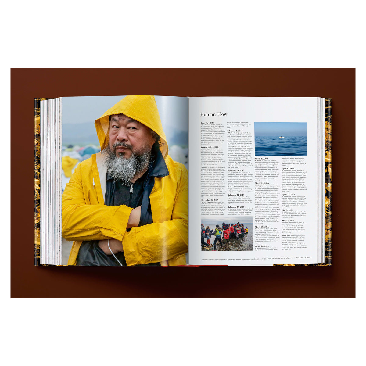 Ai Weiwei. Updated Edition (German, French, English)