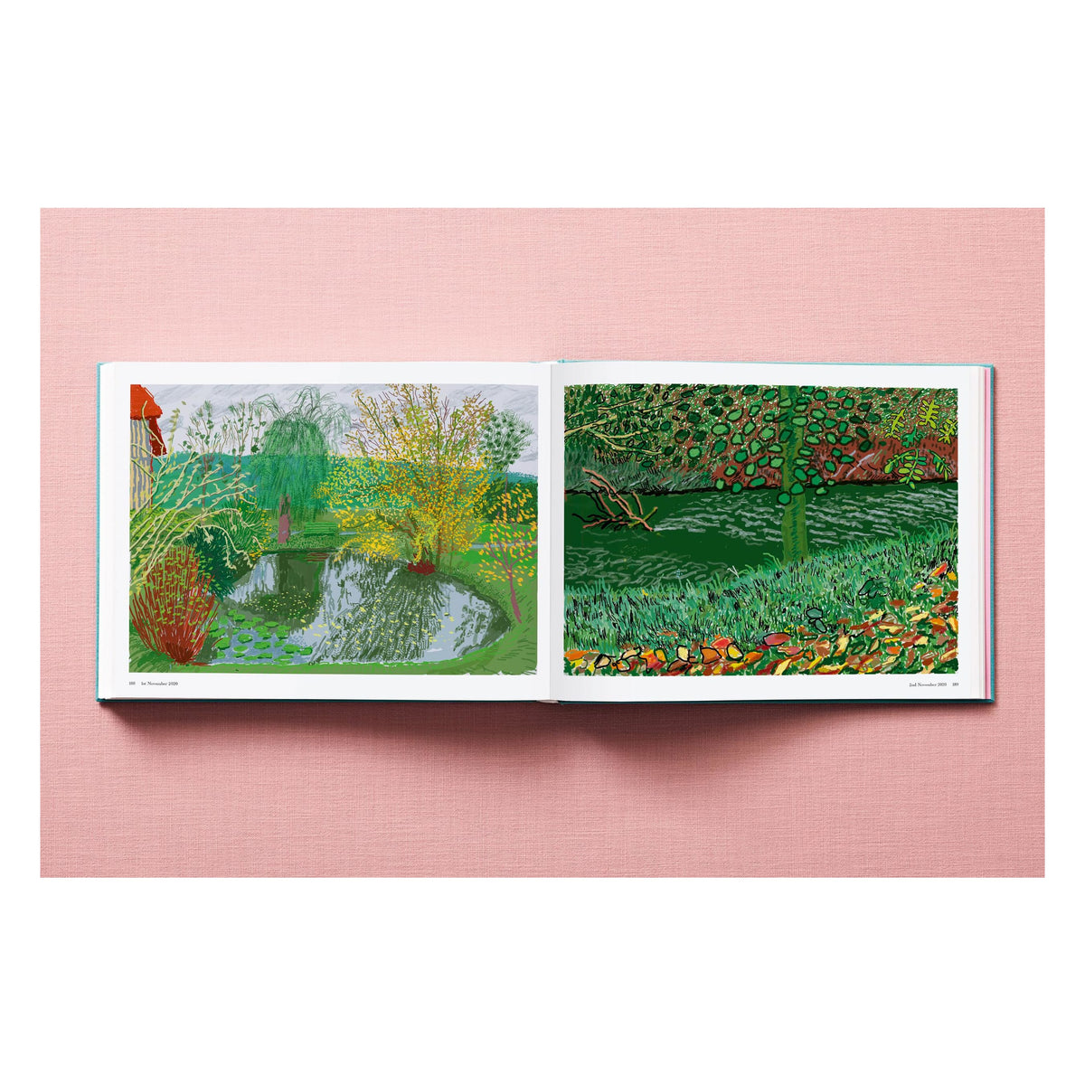 David Hockney. 220 for 2020 (English)