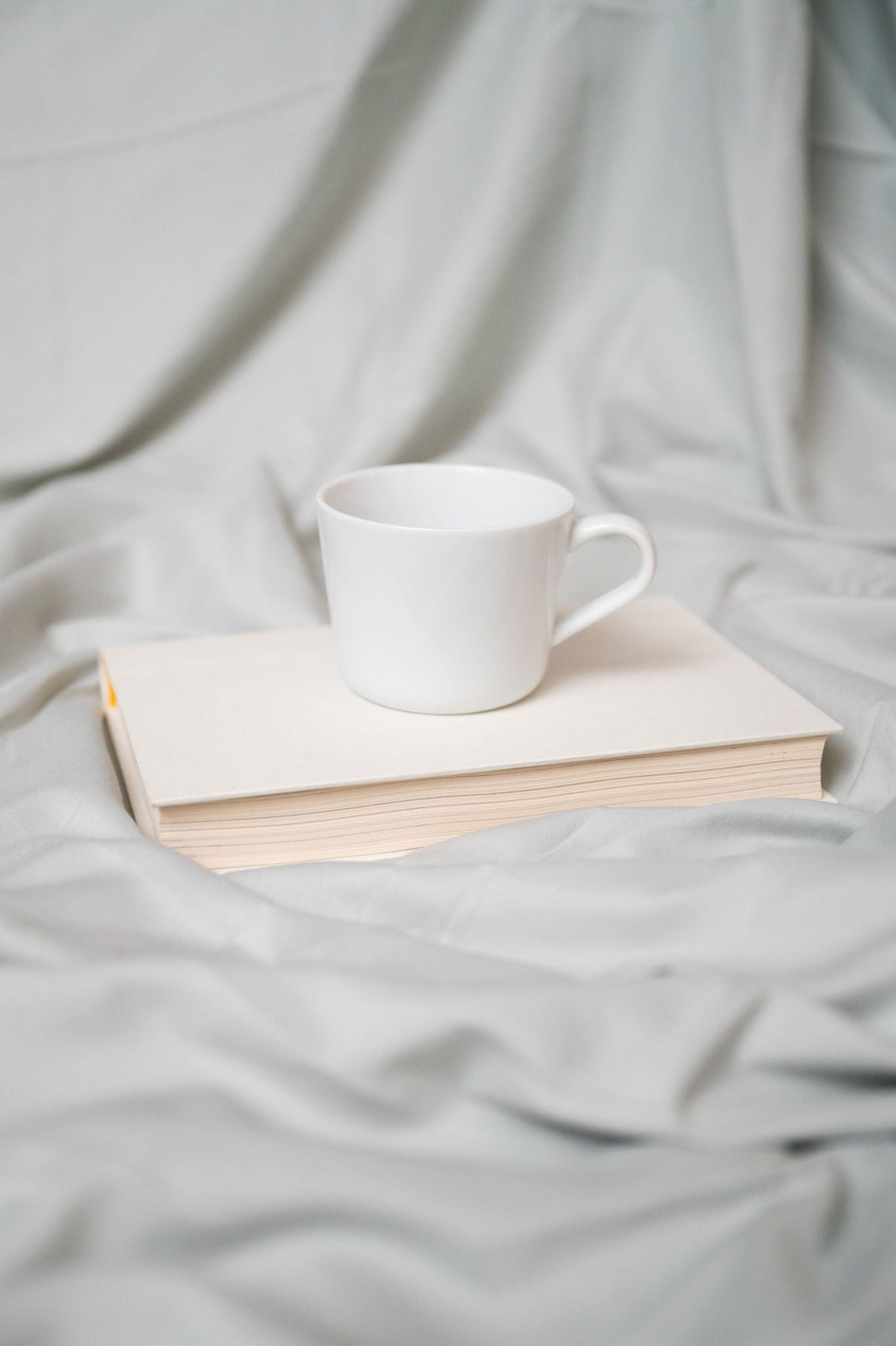 Brushed Hypoallergenic Sheet Set