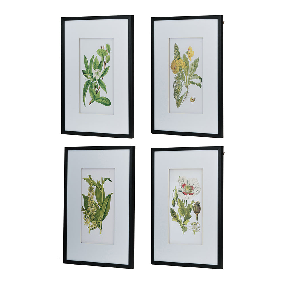 Verdure Elegance™ — Set of 4 Botanical Wall Art Prints