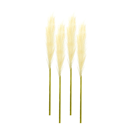Cream-Pampas-Gass-Stem-(Set-of-4)-Artificial-Flowering-Plants