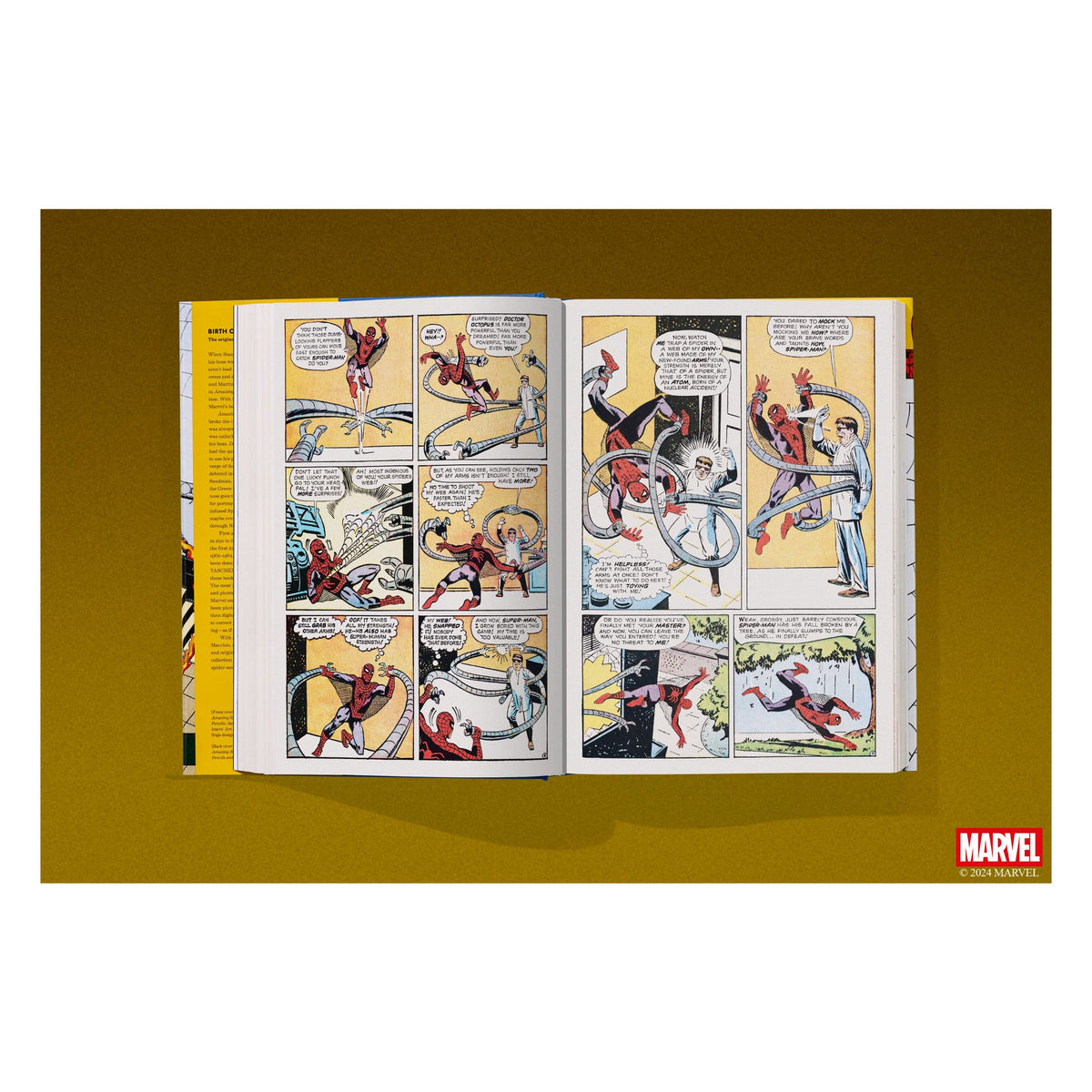 Marvel Comics Library. Spider-Man. 1962–1964 (English)