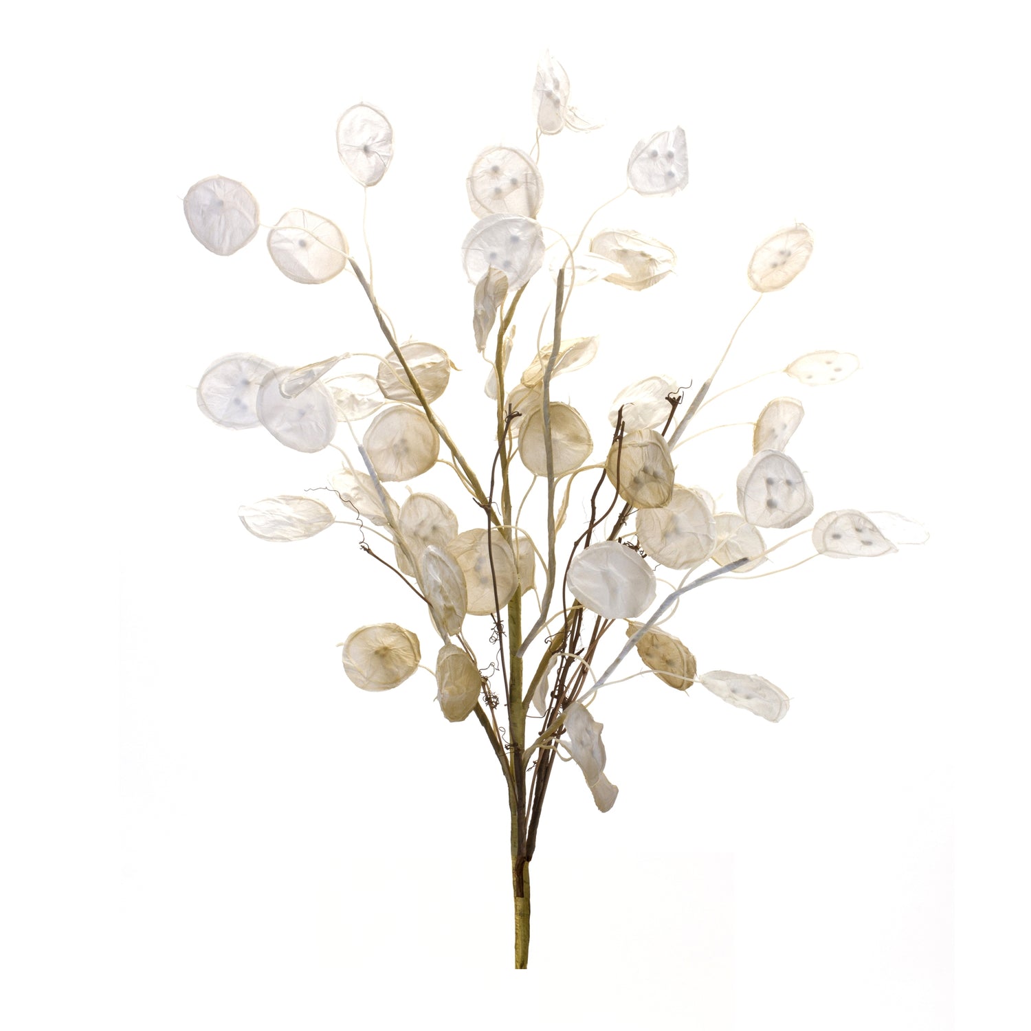 Ivory-silver-dollar-eucalyptus-spray-(set-of-2)-Artificial-Flowering-Plants