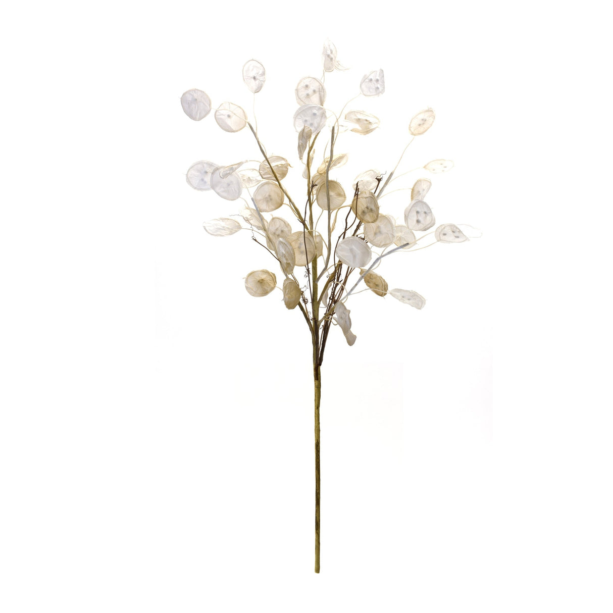 Ivory Silver Dollar Eucalyptus Spray (Set of 6)