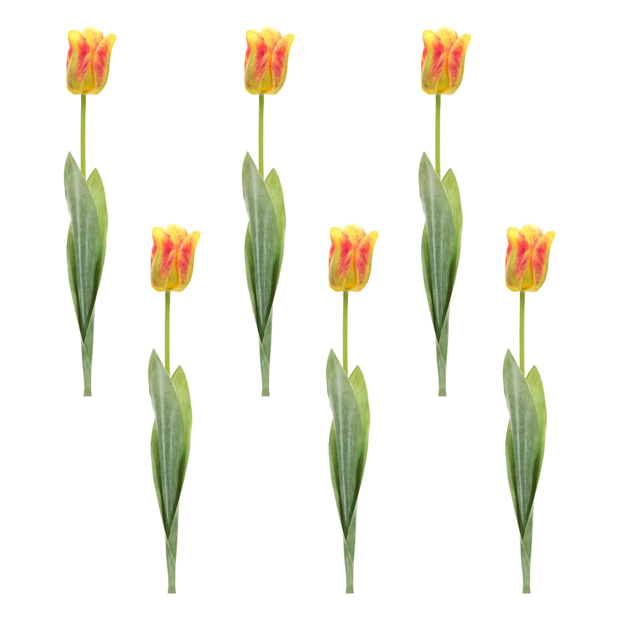 Tulip floral stem (set of 6)