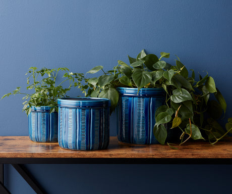 Blue Etched Terra Cotta Pot Planter (Set of 3)