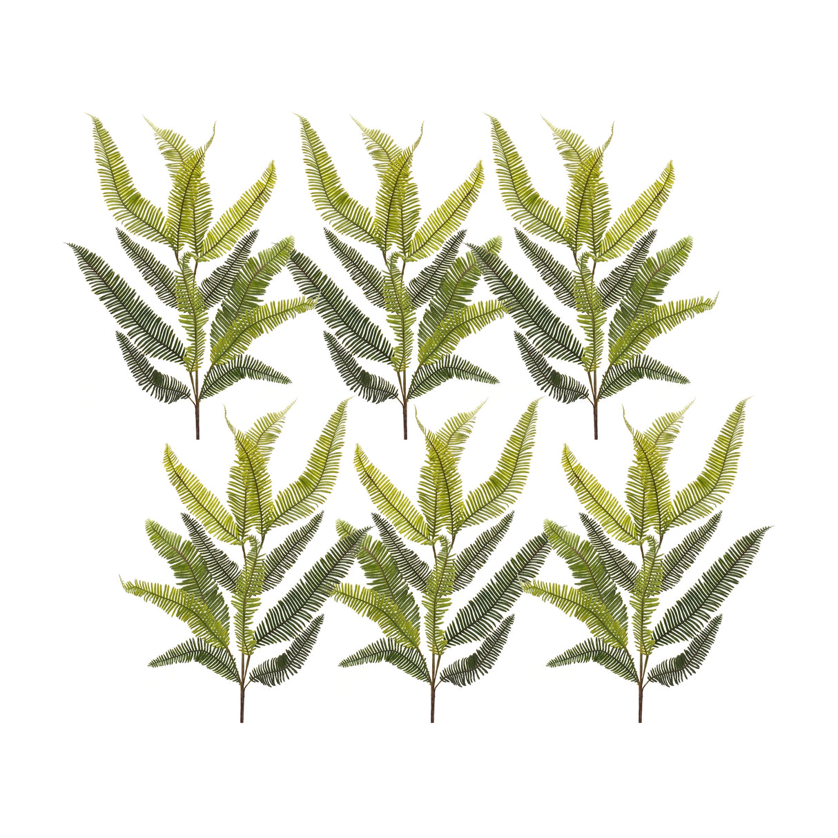 Varigated-fern-spray-(set-of-6)-Artificial-Flowering-Plants