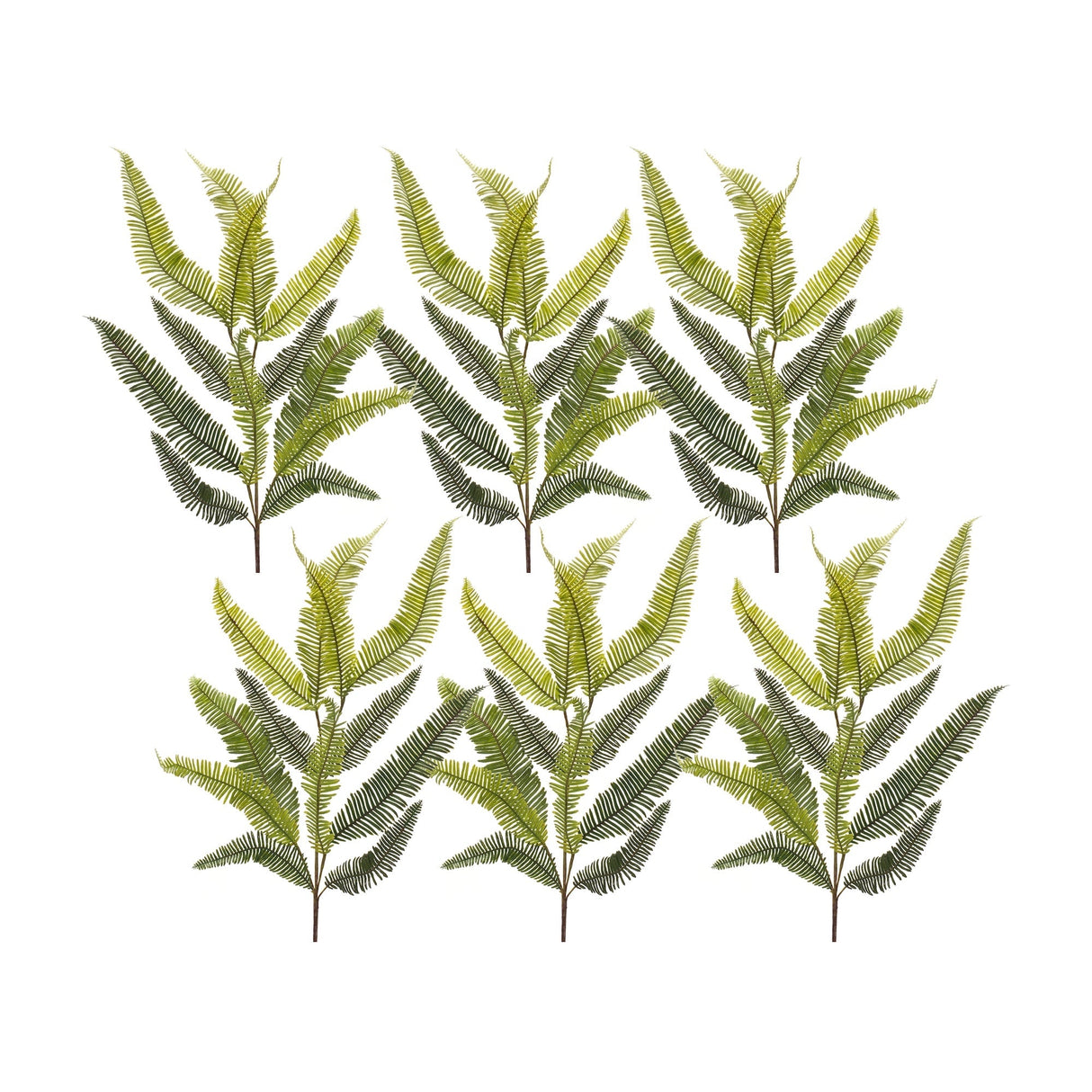 Varigated-fern-spray-(set-of-6)-Artificial-Flowering-Plants