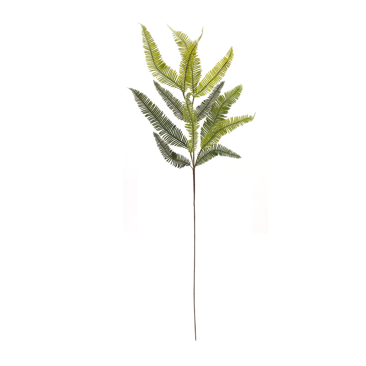 Varigated Fern Foliage Spray (Set of 6)