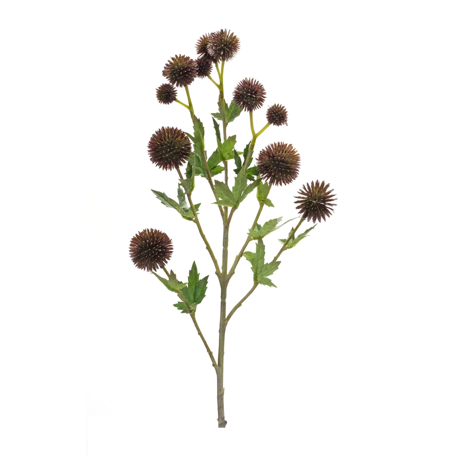 Brown Allium Floral Spray (Set of 6)