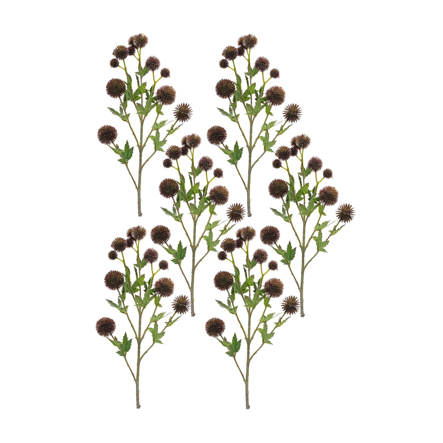 Brown-Allium-Floral-Spray-(Set-of-6)-Artificial-Flowering-Plants