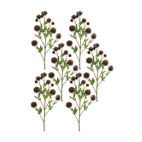 Brown-Allium-Floral-Spray-(Set-of-6)-Artificial-Flowering-Plants