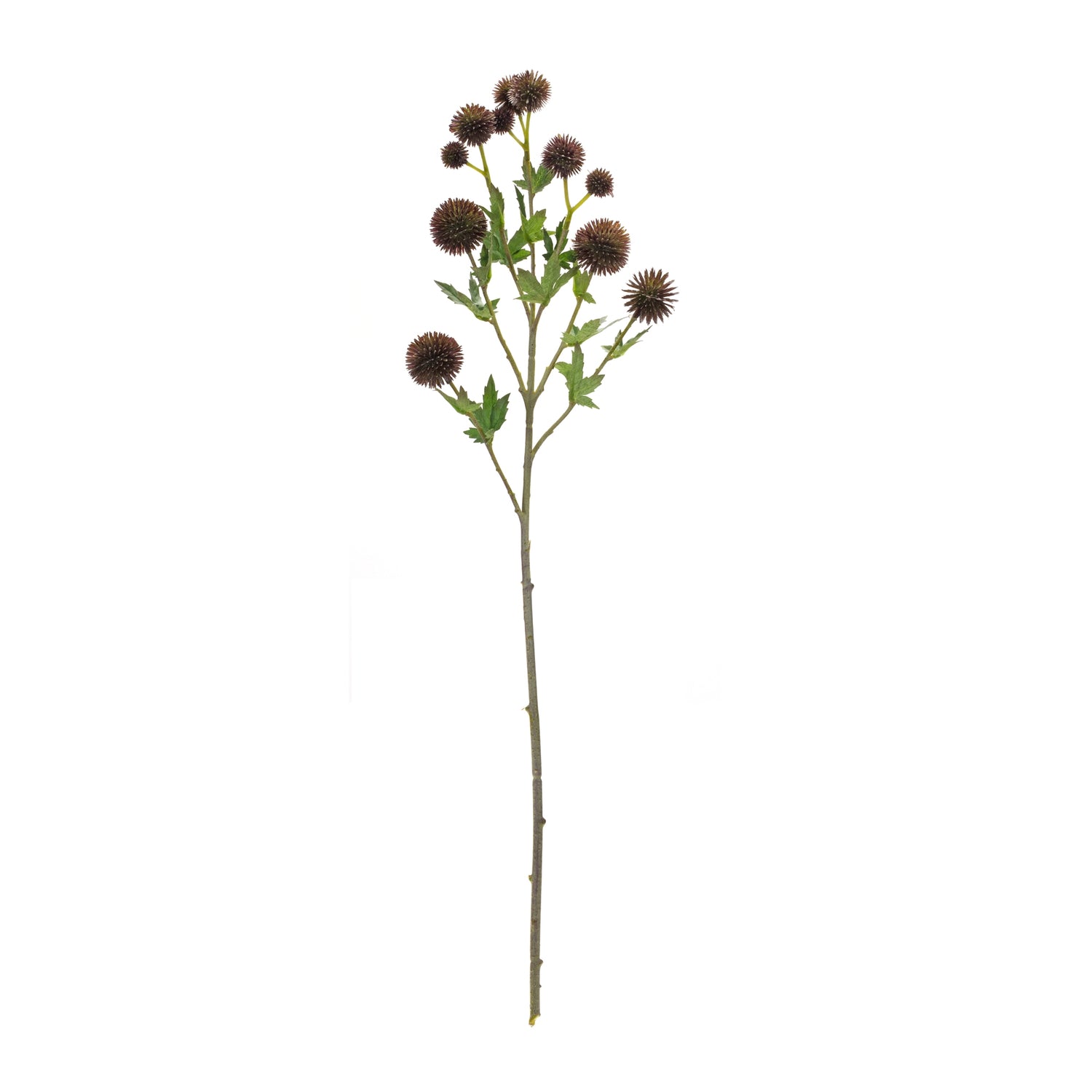 Brown Allium Floral Spray (Set of 6)