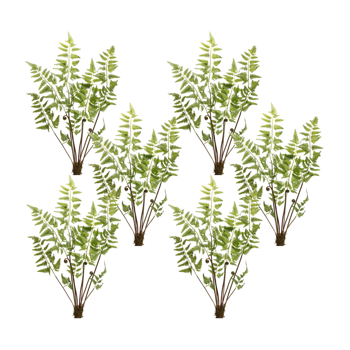 Varigated-fern-bundle-with-sprout-accents-(set-of-6)-Artificial-Flowering-Plants
