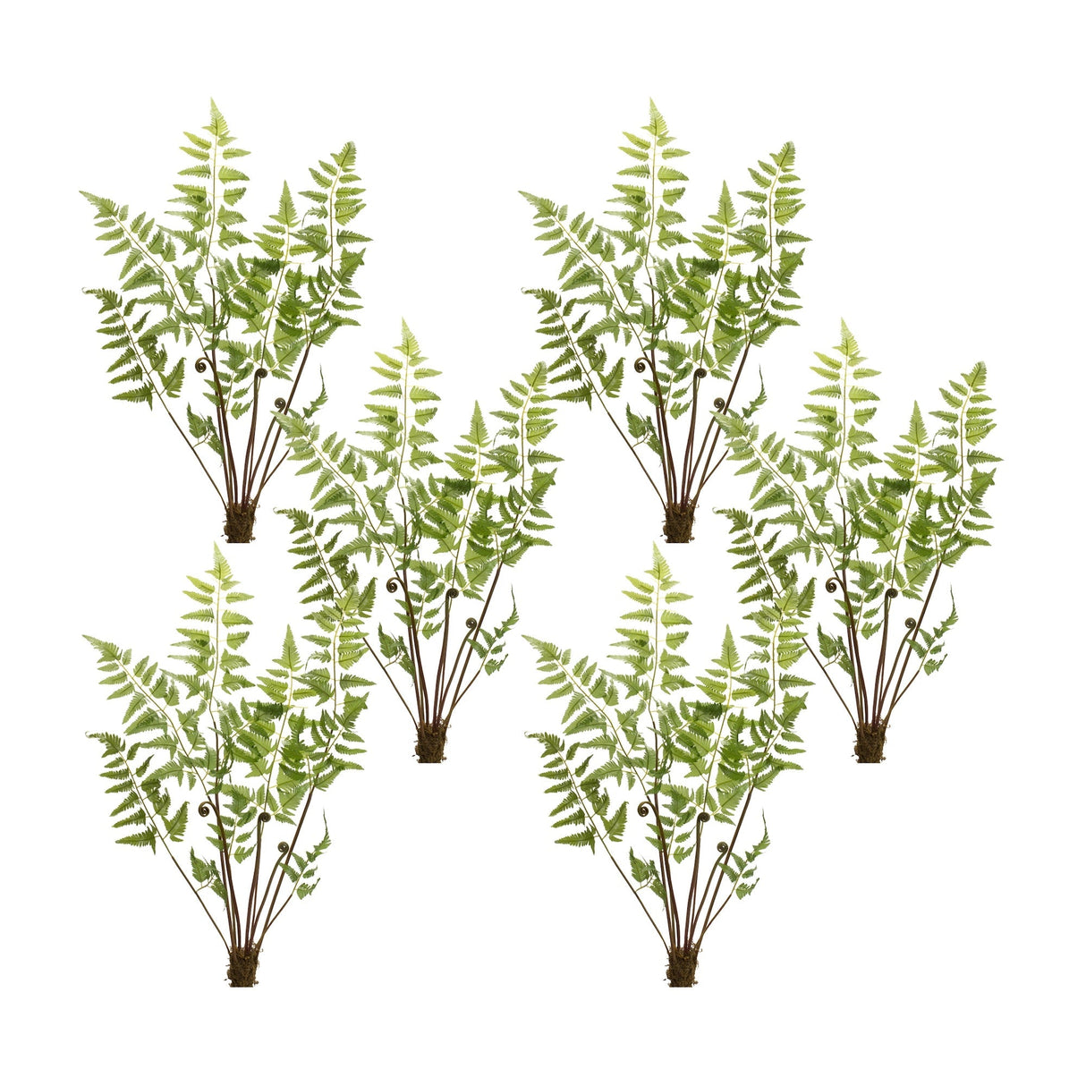 Varigated-fern-bundle-with-sprout-accents-(set-of-6)-Artificial-Flowering-Plants