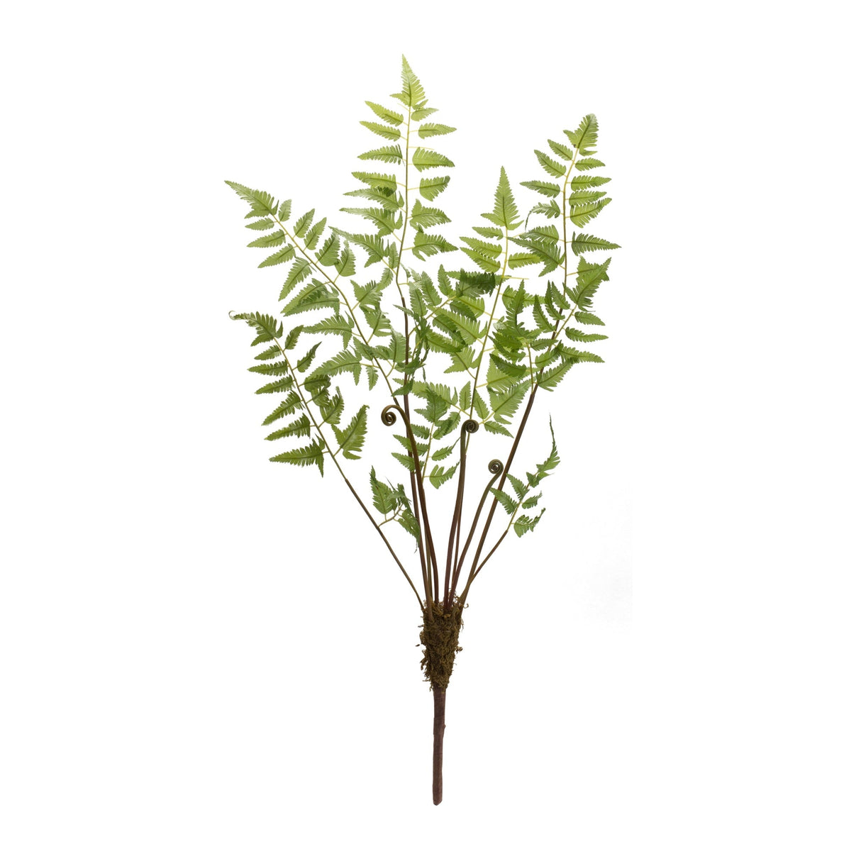 Varigated Fern Bundle with Sprout Accents (Set of 6)