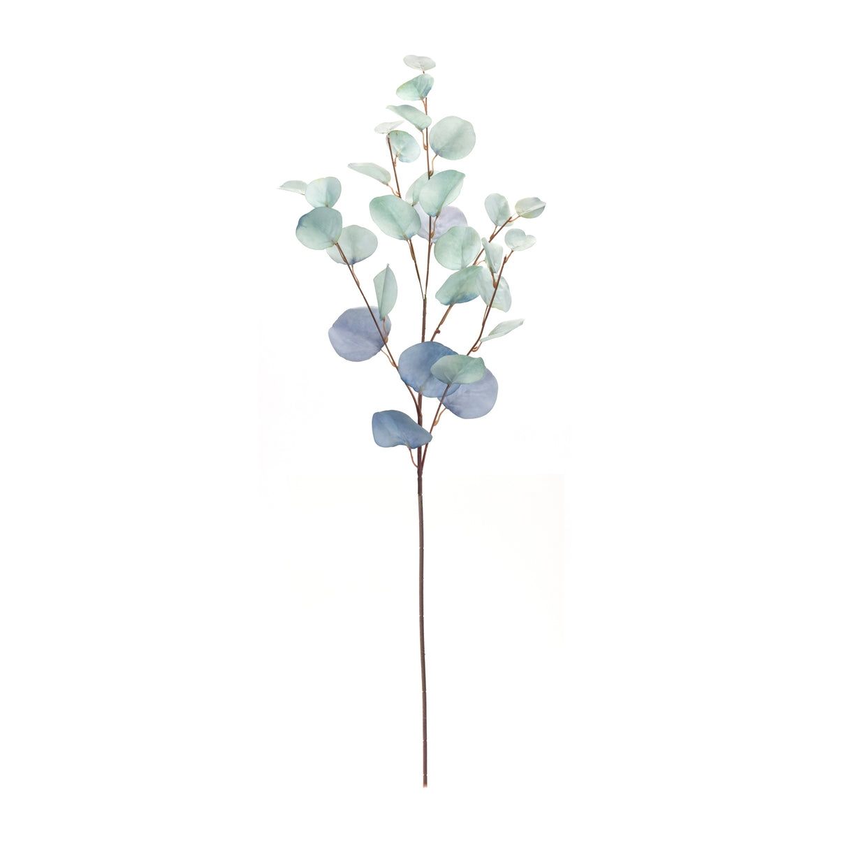 Blue Silver Dollar Eucalyptus Leaf Spray (Set of 6)