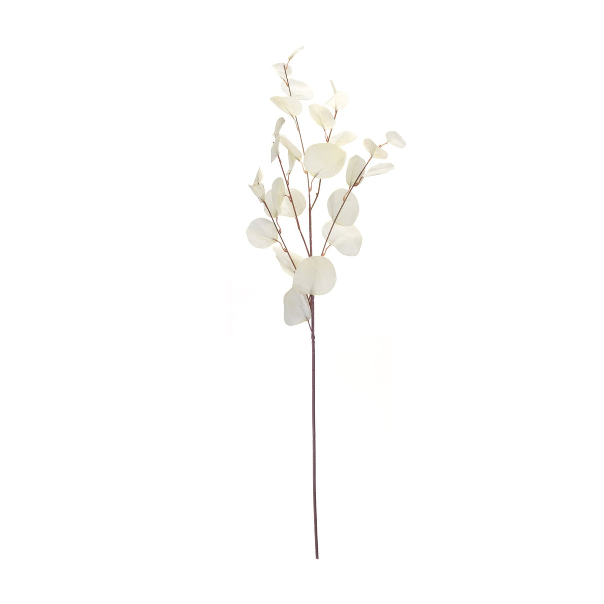 Ivory Silver Dollar Eucalyptus Leaf Spray (Set of 6)