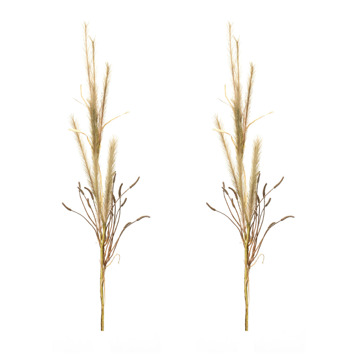 Foxtail Grass Spray (Set of 2)
