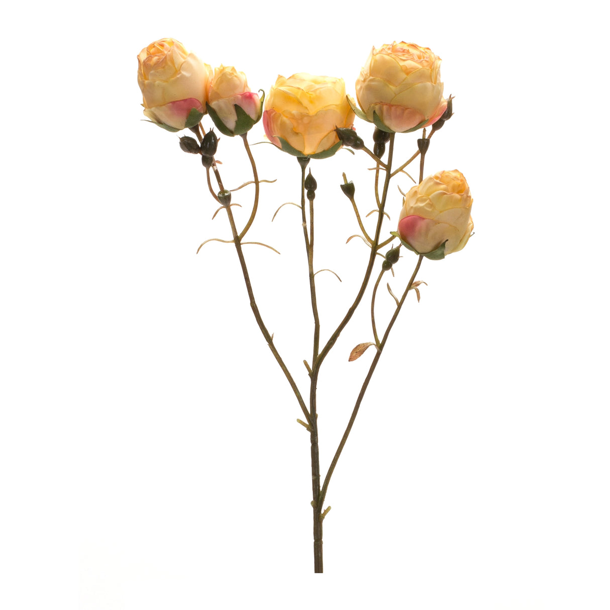 Blush yellow rose bud spray (set of 6)