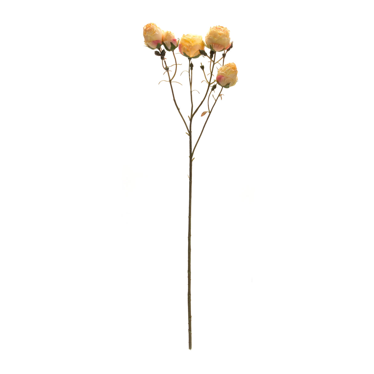 Blush yellow rose bud spray (set of 6)