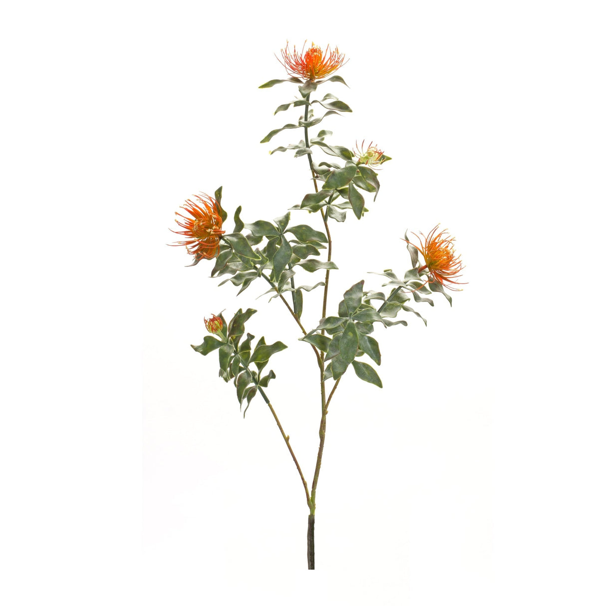 Orange Flocked Protea Spray (Set of 6)