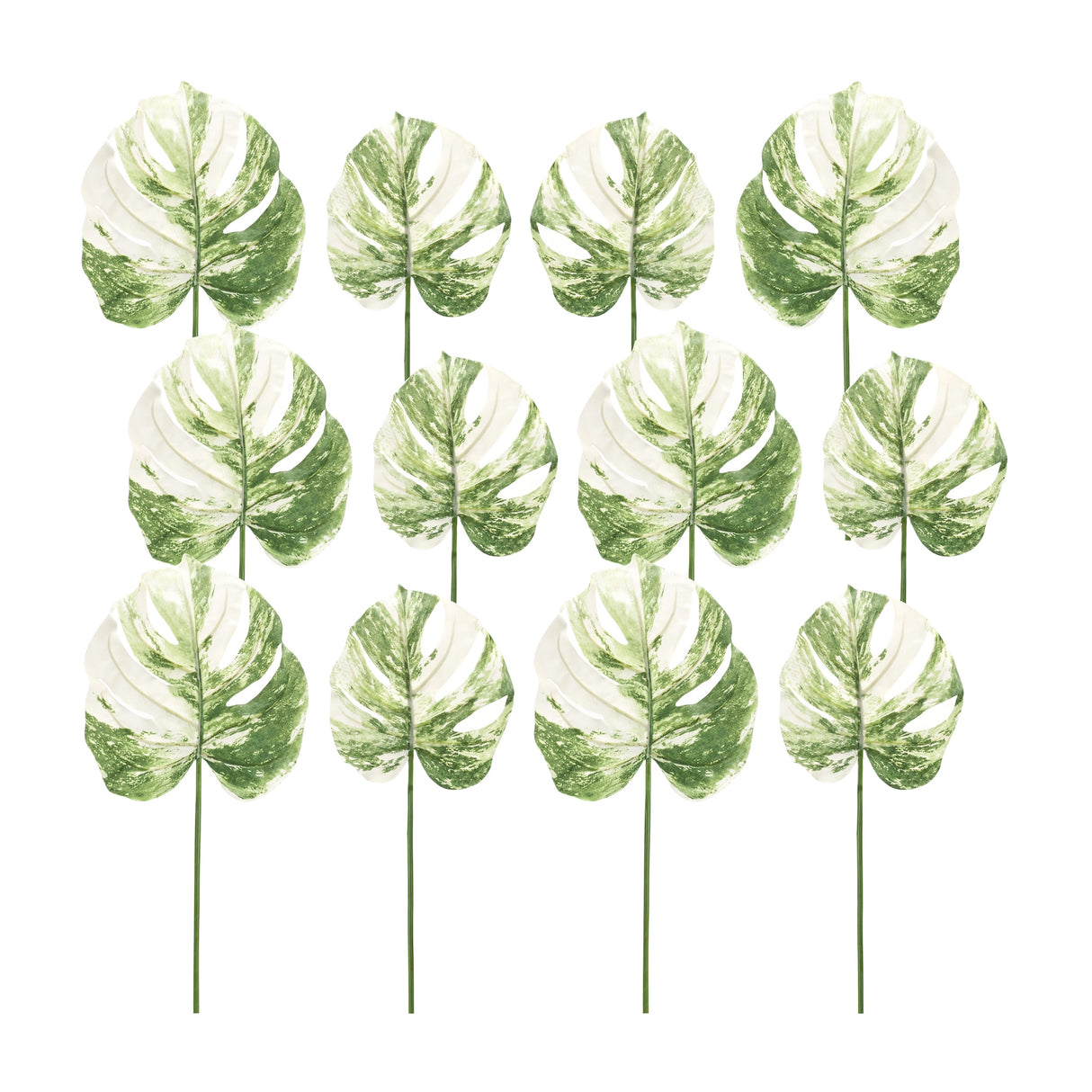 Light-Varigated-Philo-Leaf-Stem-(Set-of-12)-Artificial-Flowering-Plants