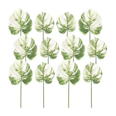 Light-Varigated-Philo-Leaf-Stem-(Set-of-12)-Artificial-Flowering-Plants