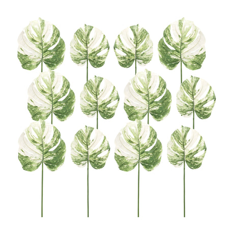 Light-Varigated-Philo-Leaf-Stem-(Set-of-12)-Artificial-Flowering-Plants