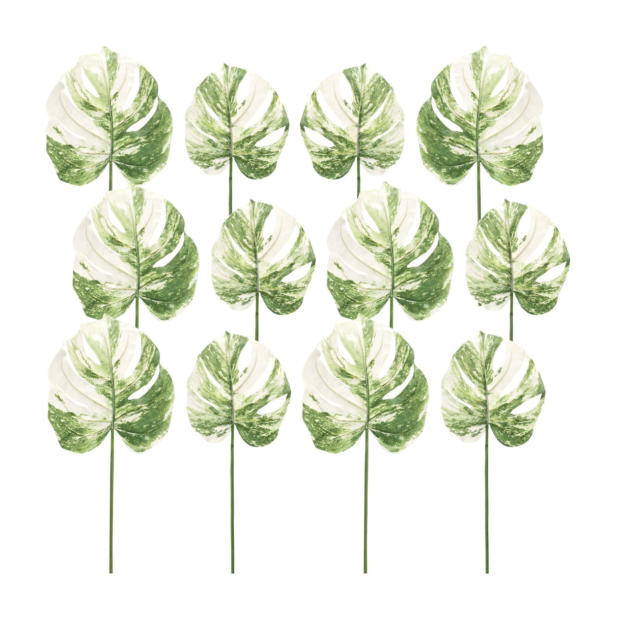 Light-Varigated-Philo-Leaf-Stem-(Set-of-12)-Artificial-Flowering-Plants
